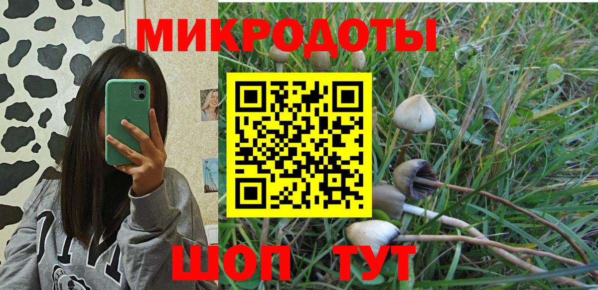 Псилоцибиновые грибы Cubensis Волгодонск