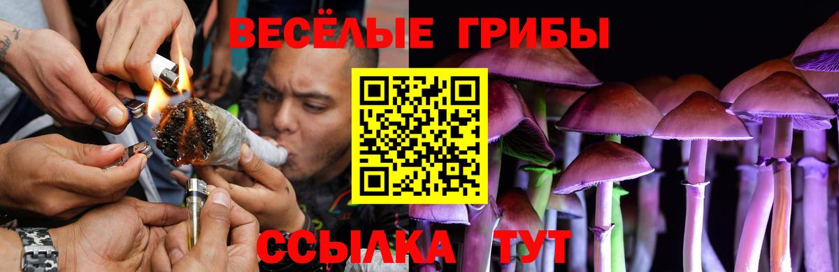 как найти наркотики  Галлюциногенные грибы мицелий  Вход с VPN  Волгодонск  Галлюциногенные грибы Psilocybe 